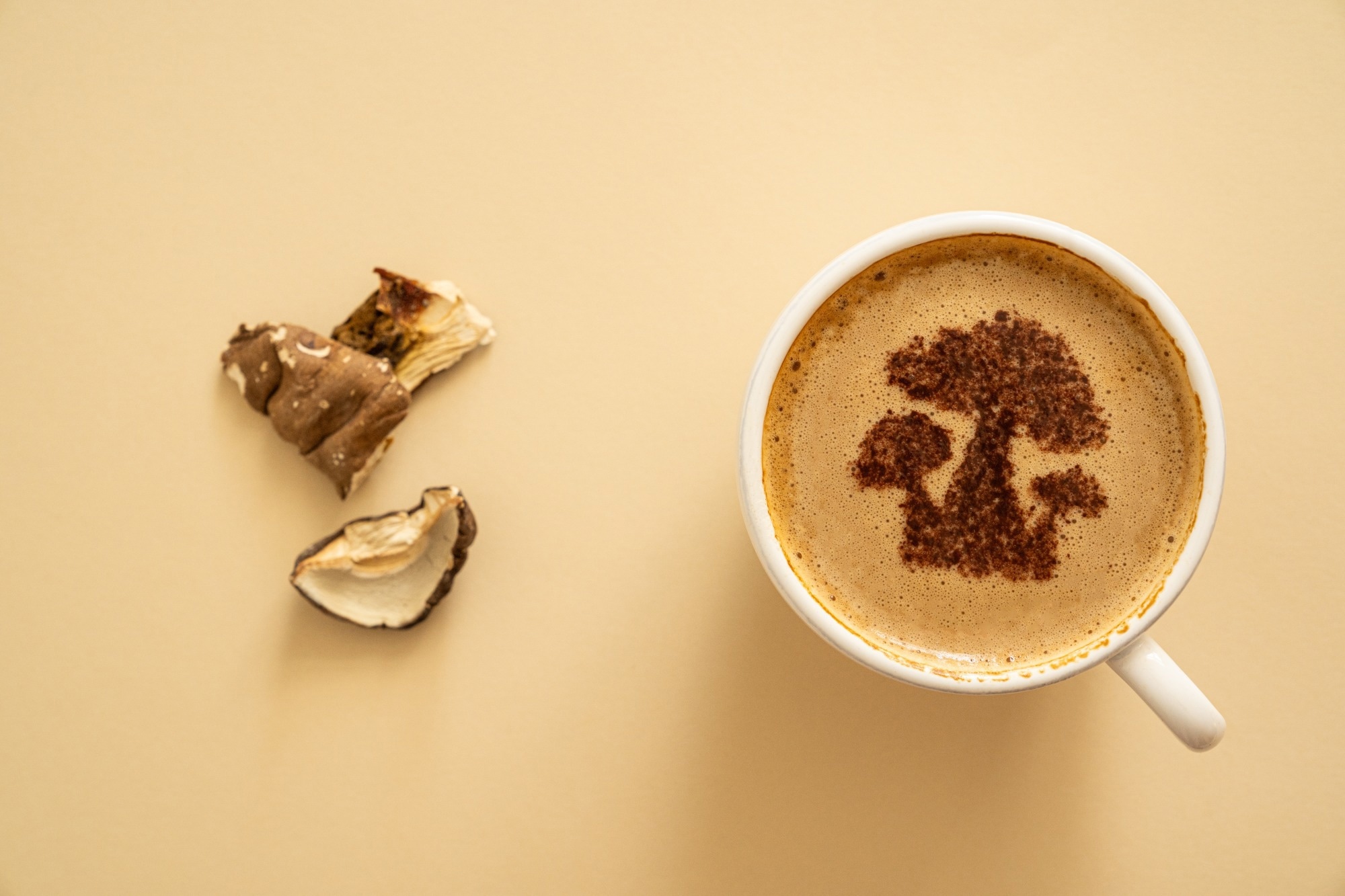 Adaptogen Power: How Mushroom Coffee Boosts Focus & Fights Stress